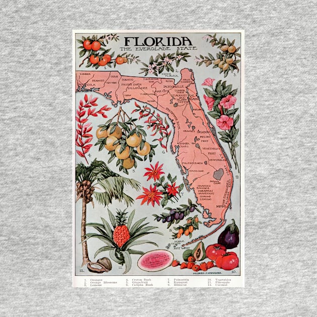 Vintage Map of Florida (1917) by Bravuramedia